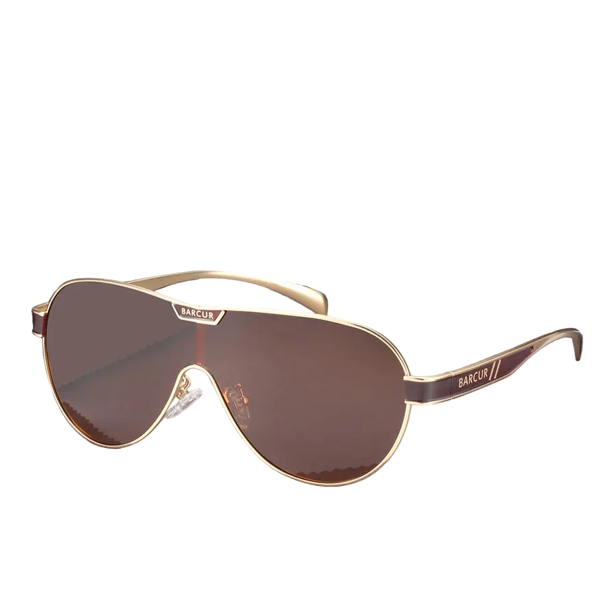 Aviator sunglasses with gold frame and dark brown lenses