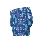 Boxer Briefs CaRaUaNa blue sky Carauana Store